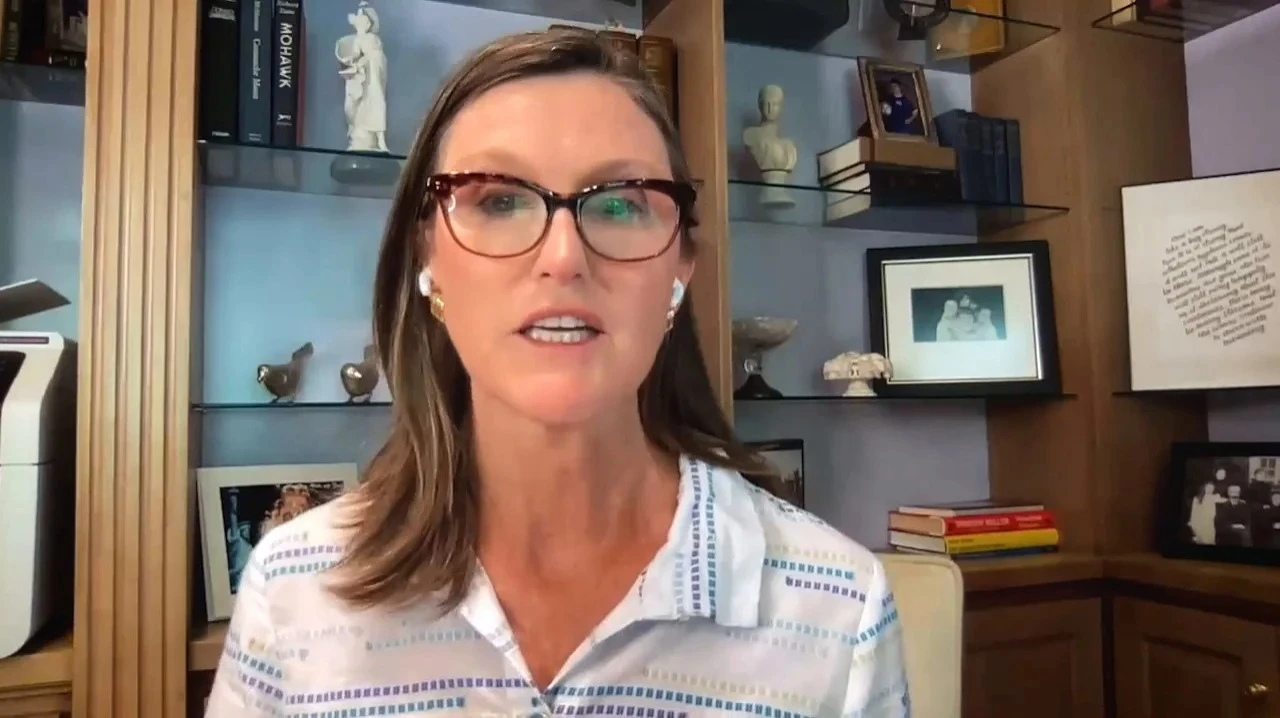 Were in for a reality check: Cathie Wood warned of the risk of a correction in the AI market