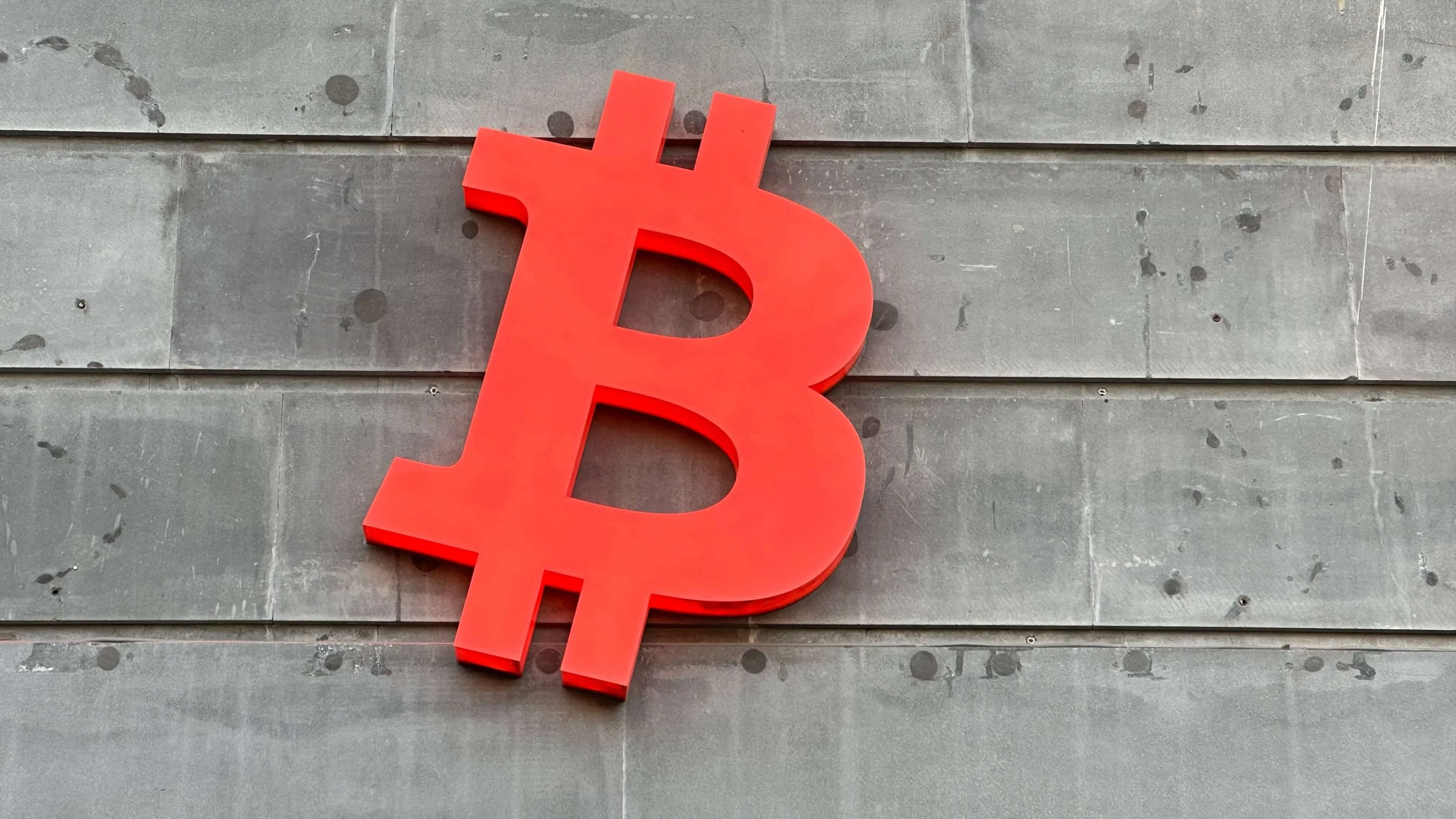 Фото: Tanya Vasilek / Shutterstock.com