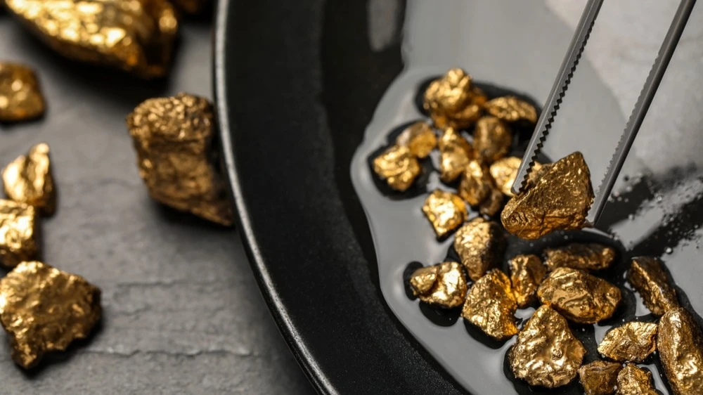 Доля Elliott Management в Barrick стоит не менее $700 млн, подсчитала Financial Times / Фото: New Africa/Shutterstock.com