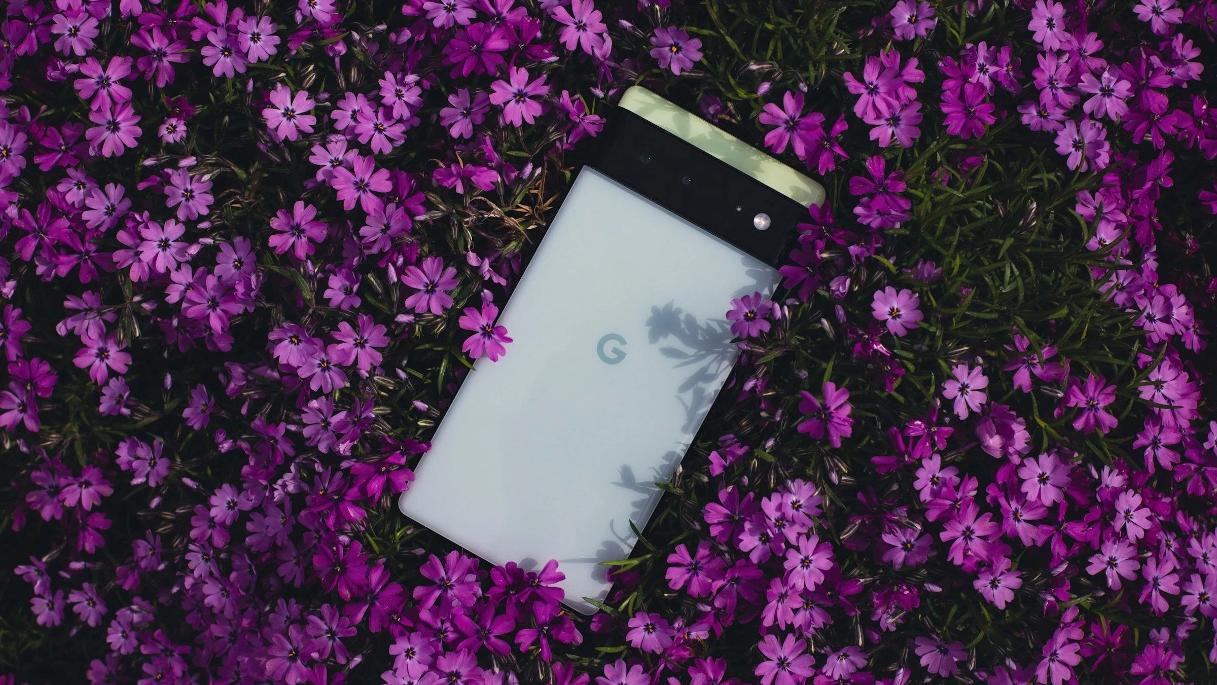 Акции Alphabet за год выросли почти на 70%, но аналитики считают, что потенциал компании еще не исчерпан / Фото: Unsplash/The Prototype