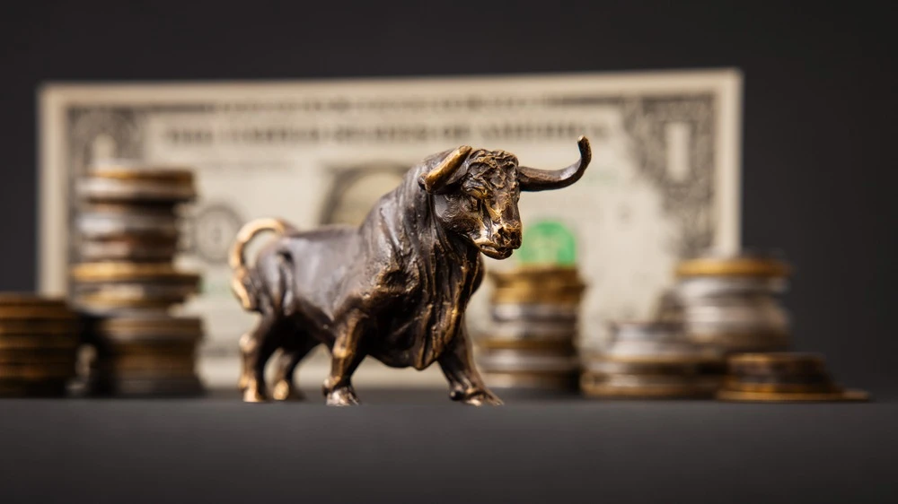 Investors boosted optimism to hyper bullish levels, Bank of America survey shows / Photo: Kaspars Grinvalds / Shutterstock