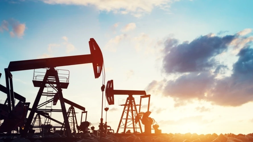 Фото: PHOTOCREO Michal Bednarek / Shutterstock