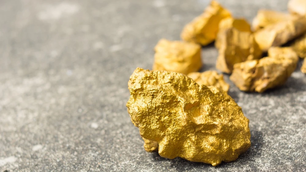 Фото: Lesterman/Shutterstock