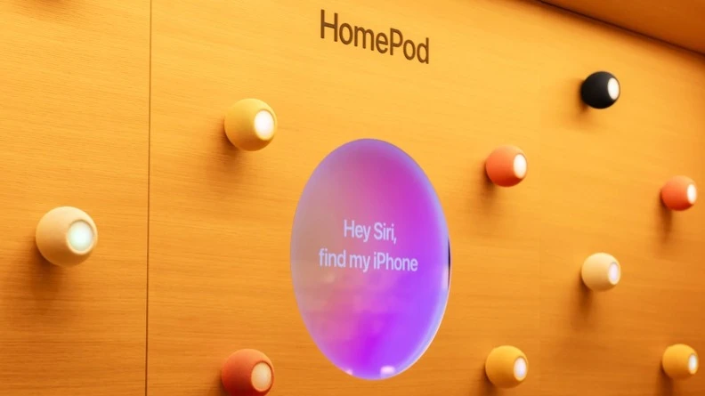 Apple обещает внедрить ИИ-функции в Siri с 2024 года / Фото: Shutterstock.com