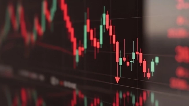 Фото: renderis studio / Shutterstock