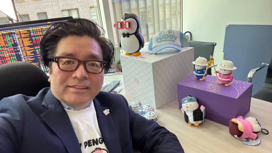 Стратег Fundstrat считает, что в долгосрочной перспективе биткоин покажет более высокую эффективность для инвесторов / Фото: X / Fundstrat